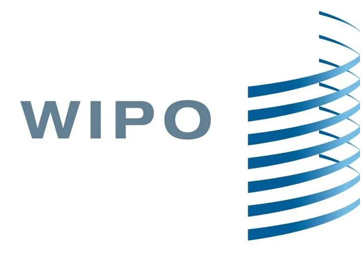 WIPO中国：中国拥有21个全球顶级科技集群