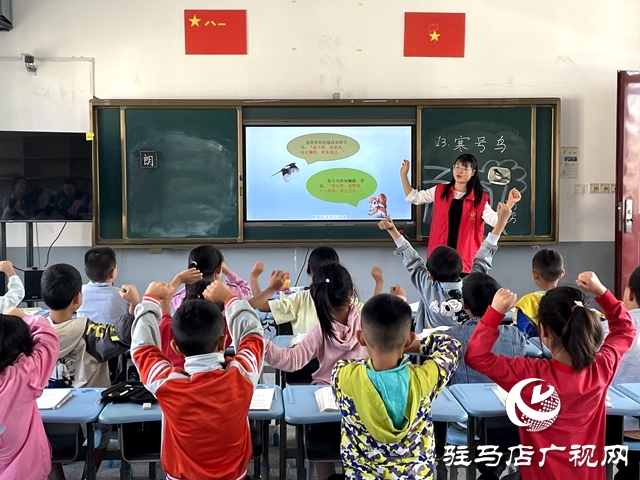 驻马店实验小学开展送教下乡志愿服务活动