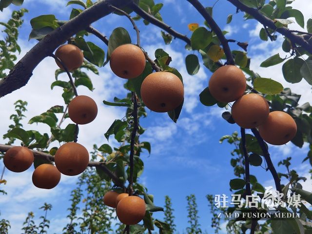微信图片_202209201548503.jpg