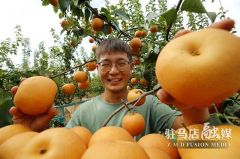 驻马店市驿城区：90后青年返乡创业带民富