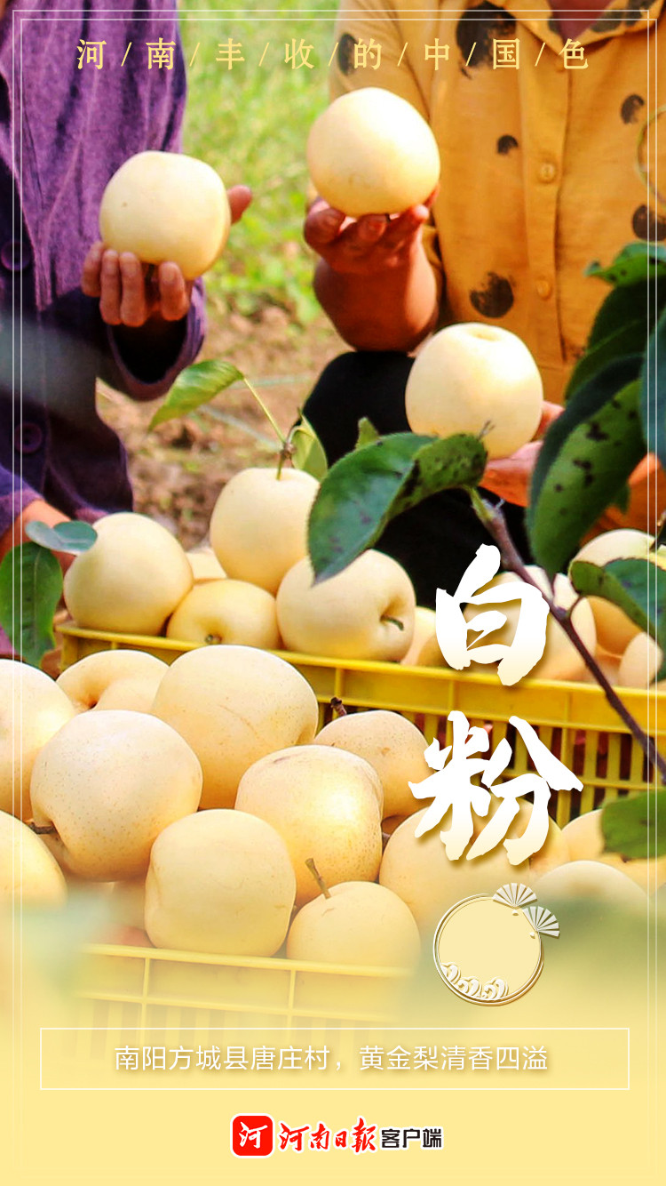 微信图片_20220923094321.jpg