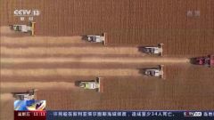 2022年全国夏粮总产量2947.8亿斤 同比增28.7亿斤