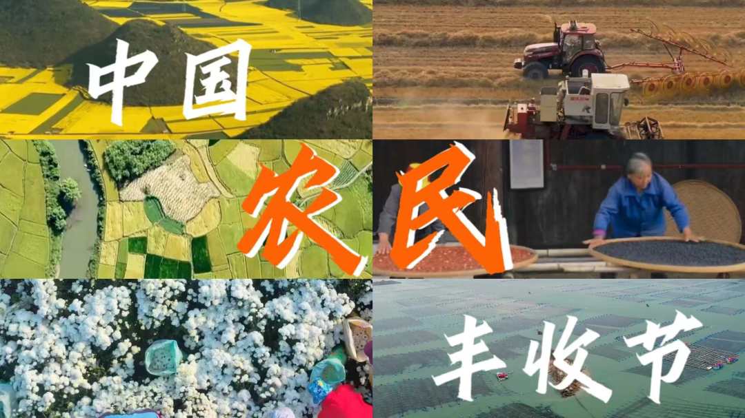 听！这是丰收的声音