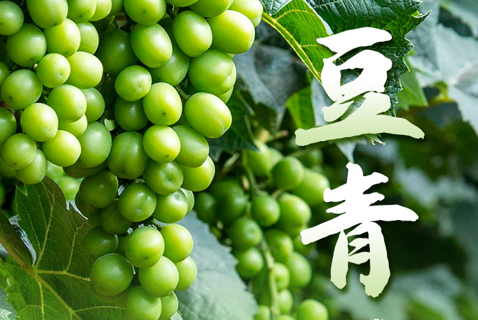 河南大地丰收图｜快来看看属于驻马店的颜色！