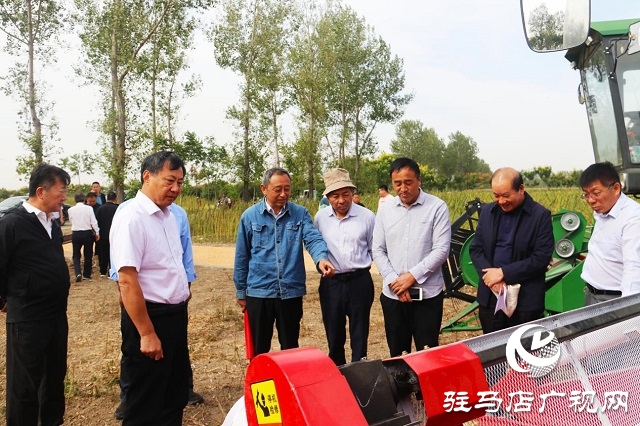 2022年芝麻机械化收割现场会在驻马店成功召开