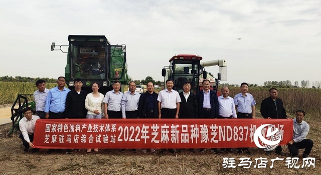 2022年芝麻机械化收割现场会在驻马店成功召开