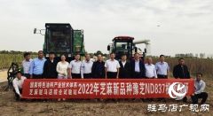 2022年芝麻机械化收割现场会在驻马店成功召开