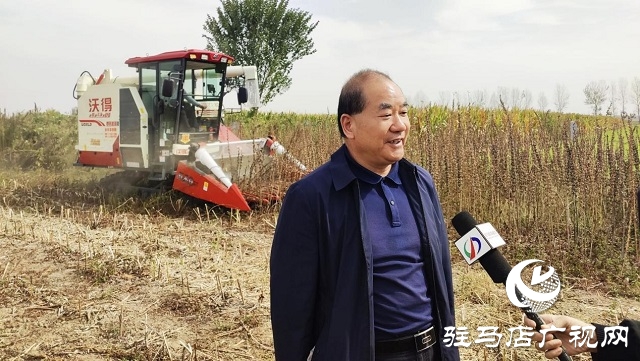 2022年芝麻机械化收割现场会在驻马店成功召开