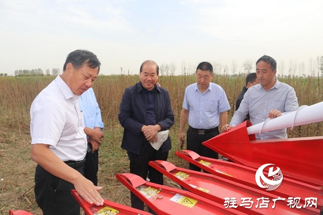 2022年芝麻机械化收割现场会在驻马店成功召开