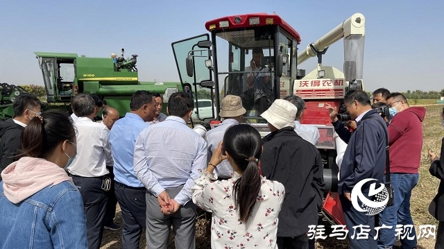 河南省农业良种联合攻关项目——宜机收芝麻在驻马店顺利收割