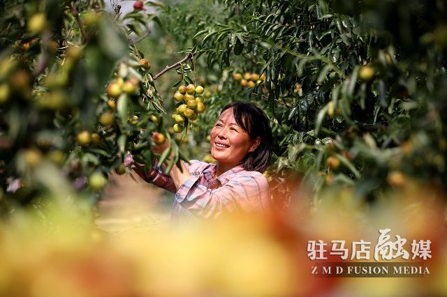 微信图片_202209261654471.jpg
