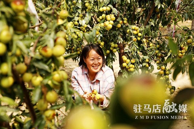 微信图片_20220926165446.jpg