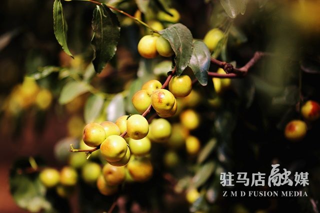 微信图片_202209261654472.jpg