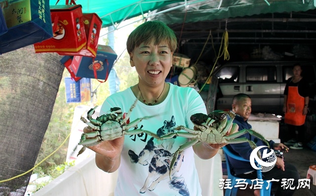 驻马店：秋起蟹儿肥 正是吃蟹好时节