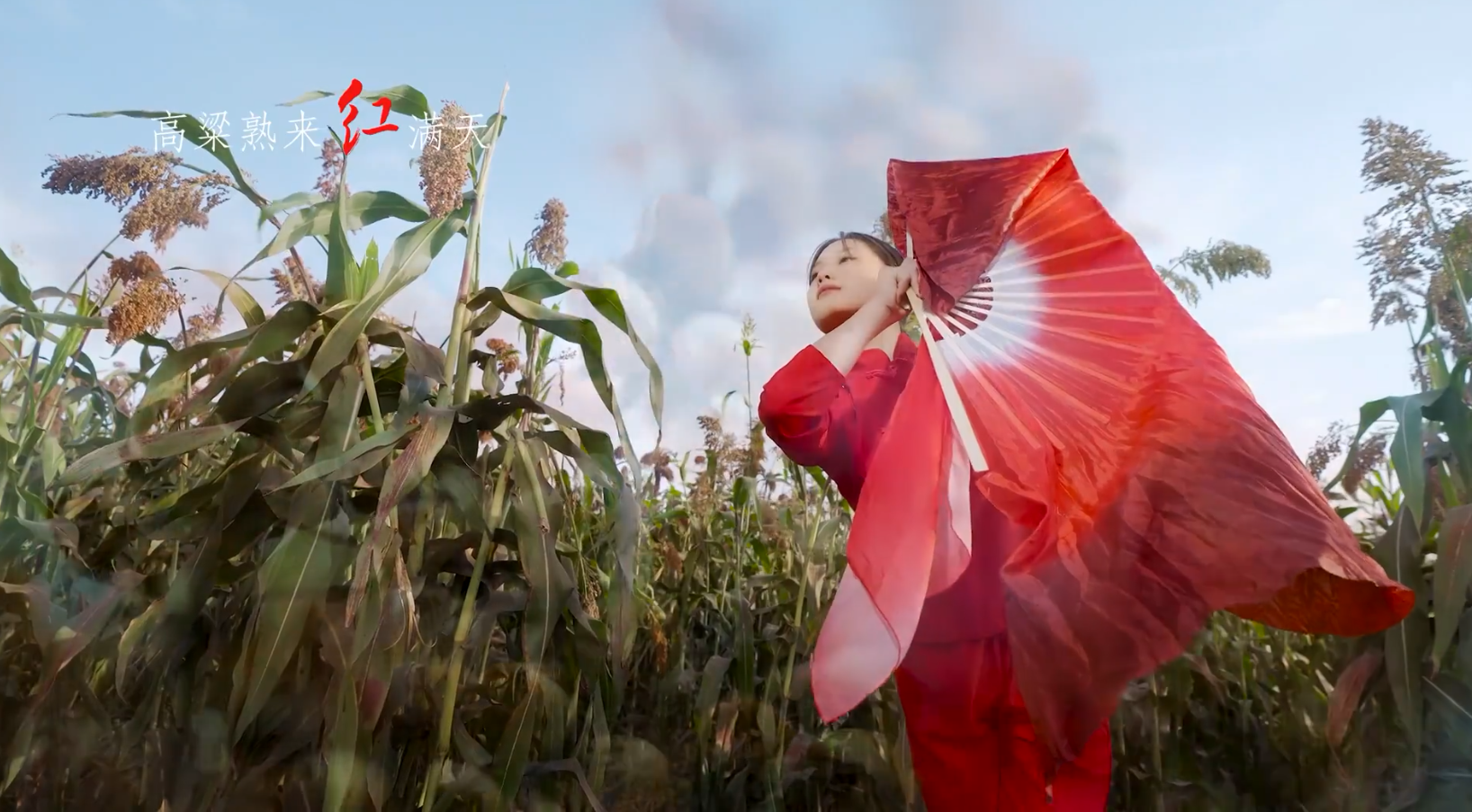 西平：又见高粱红