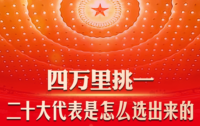 四万里挑一！二十大代表是怎么选出来的
