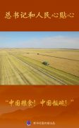 总书记和人民心贴心丨“中国粮食！中国饭碗！”