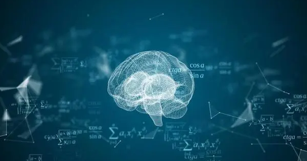 科学家首次证明：人脑细胞在体外也有智力
