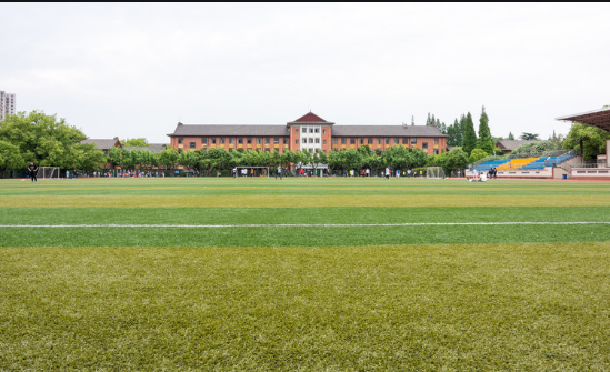 校园周边出现“臭屁蛋”小学生安全隐患不能忽视