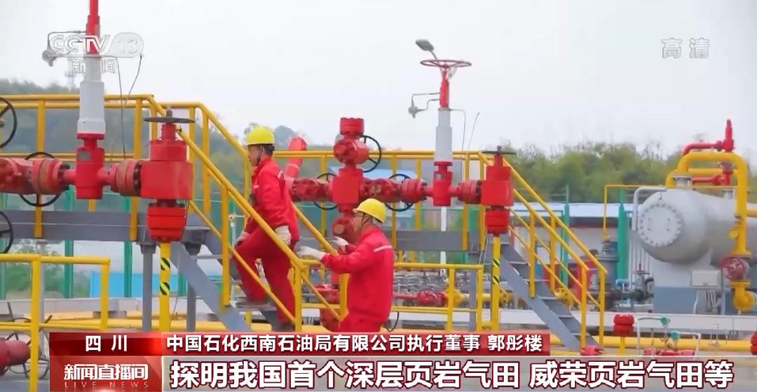 全国首次！这一领域，获重大突破→