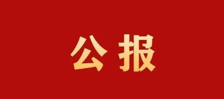 中共二十届一中全会公报