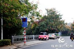 驻马店：夹竹桃花开正浓