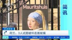 名画《戴珍珠耳环的少女》在荷兰遭袭，3人被捕