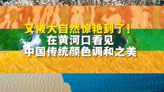 被黄河口传统色调美惊艳到了