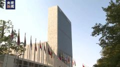 联合国大会会议上多国作共同发言 反对干涉中国内政