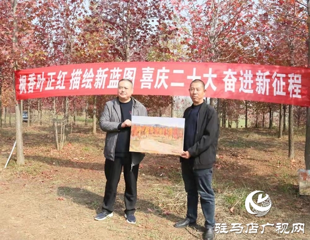 驻马店：枫香叶正红 画笔描绘“枫”情画卷
