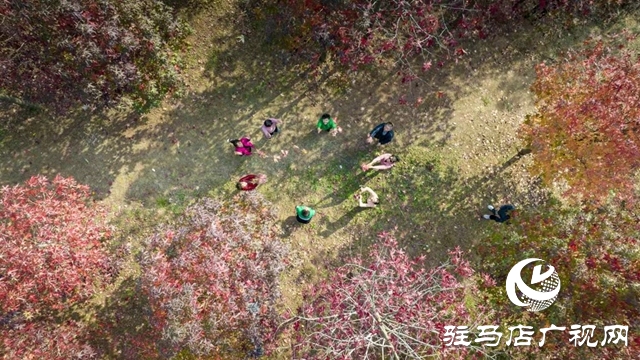 微信图片_20221102092824.jpg