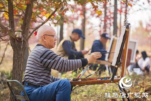 驻马店：枫香叶正红 画笔描绘“枫”情画卷