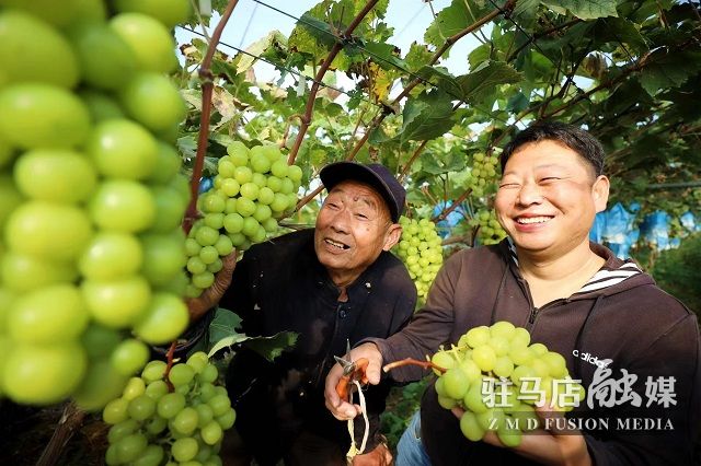 微信图片_20221103112418.jpg