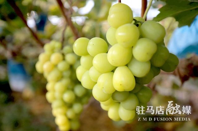 微信图片_202211031124182.jpg