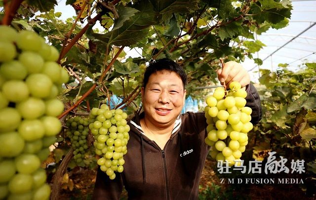微信图片_202211031124187.jpg