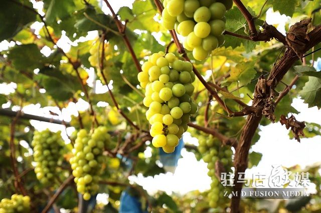 微信图片_202211031124184.jpg