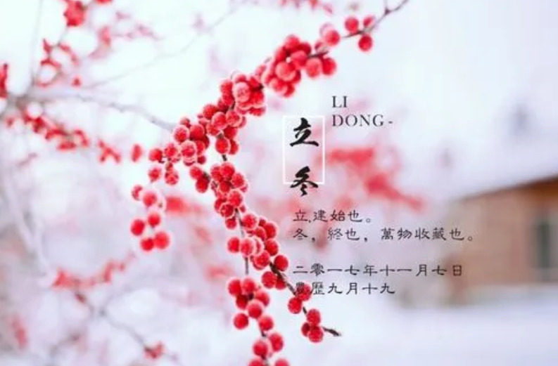 今日立冬｜万物收藏 冬之伊始