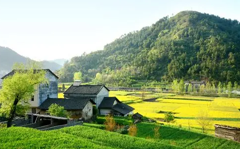 中国美丽休闲乡村！平舆这个村入选