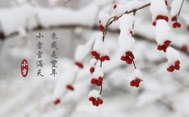 今日小雪｜莫怪虹无影 如今小雪时