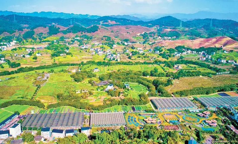 考核结果公布 驻马店市名列全省第一