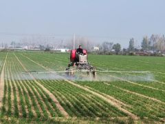 驻马店市驿城区：加强冬季田间管理 确保小麦安全越冬