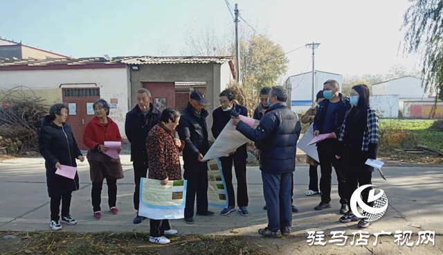 驻马店市农技植保站：加强小麦田间管理 确保小麦壮苗安全越冬