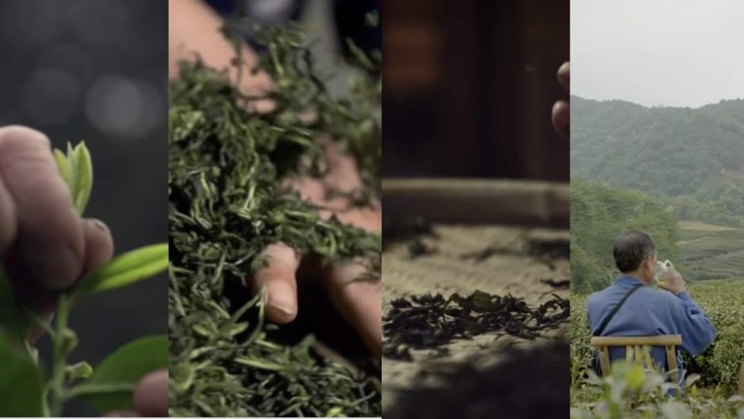 中国传统制茶技艺“入遗”！今天，你喝茶了吗