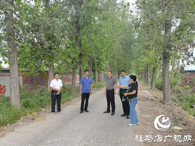 驻马店市林业局调研飞机防治林业有害生物效果