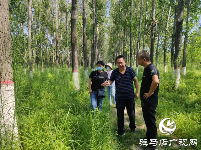 驻马店市开展林业有害生物防治工作