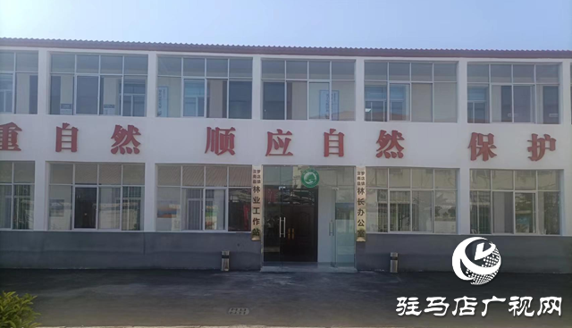 驻马店:推进标准化林业工作站 夯实基层林长制基础