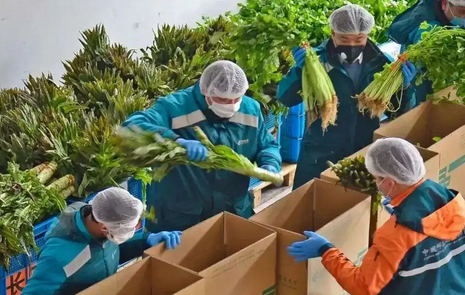 破梗阻补链条，多方联动打响“蔬菜促销战”