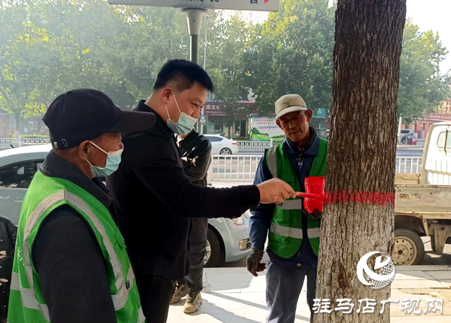 绿化养护靓风景 树木涂白换新装