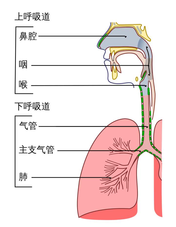 1671527422597901.jpg 微信图片_20221220170529.jpg