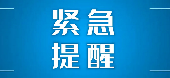 最新公告！即日起，全市车驾管及违法处理窗口线下业务暂停办理